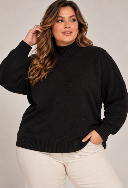 Picture of PLUS SIZE TURTLE NECK SWEATER